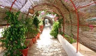 & Entre Pinos-adults Only Es Calo (Formentera)